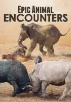  Невероятные встречи с животными смотреть онлайн тв шоу 1 сезон 